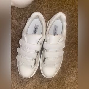 Steve madden sneakers
